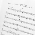 16_2026-01_ASSAIG OSA-4865